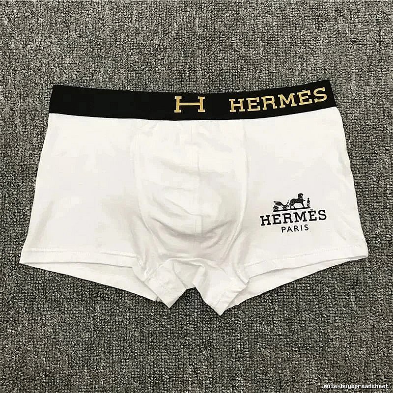 Hermes Travel Logo boxer briefs Black Boxer Briefs with Modern Look